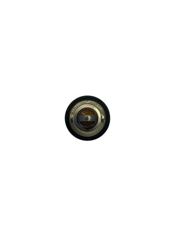 SUZUKI TERMOSTAT DENİZ MOTORU-MARİN DF9,9-DF25-DF30 ORİJİNAL ÜRÜN 17670-94J02