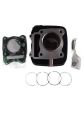TVS APACHE RTR 200 SİLİNDİR SET NF321160