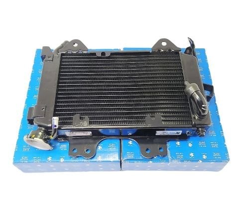 BAJAJ PULSAR NS200 RADYATÖR JL601234 ORİJİNAL ÜRÜN